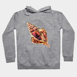 Bronze Conch Sea Shell Hoodie